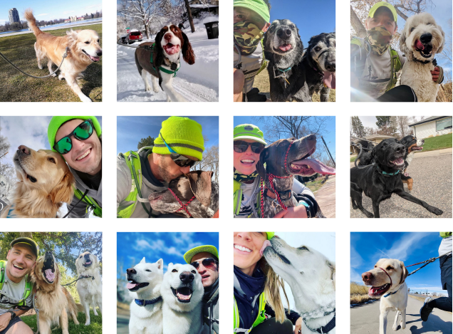 Collage of people outdoors with dogs in snowy, sunny scenes, showing playful close-ups and walks