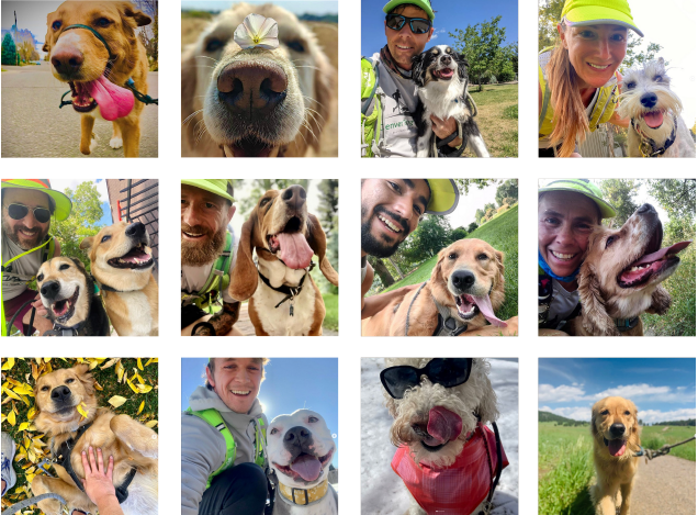Collage of selfies with dogs outdoors, featuring close-up faces, colorful hats, and happy expressions