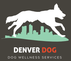 Denver Dog logo with white dog silhouette over green city skyline and “Dog Wellness Services” text