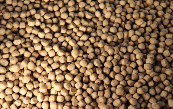 Close-up of a pile of brown chickpeas or nuts filling the frame