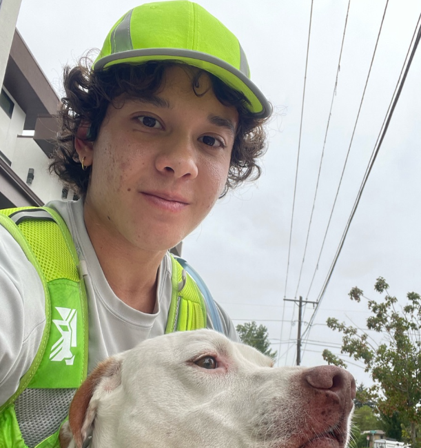Person in a neon safety vest and cap holding a white dog outdoors under cloudy skies
