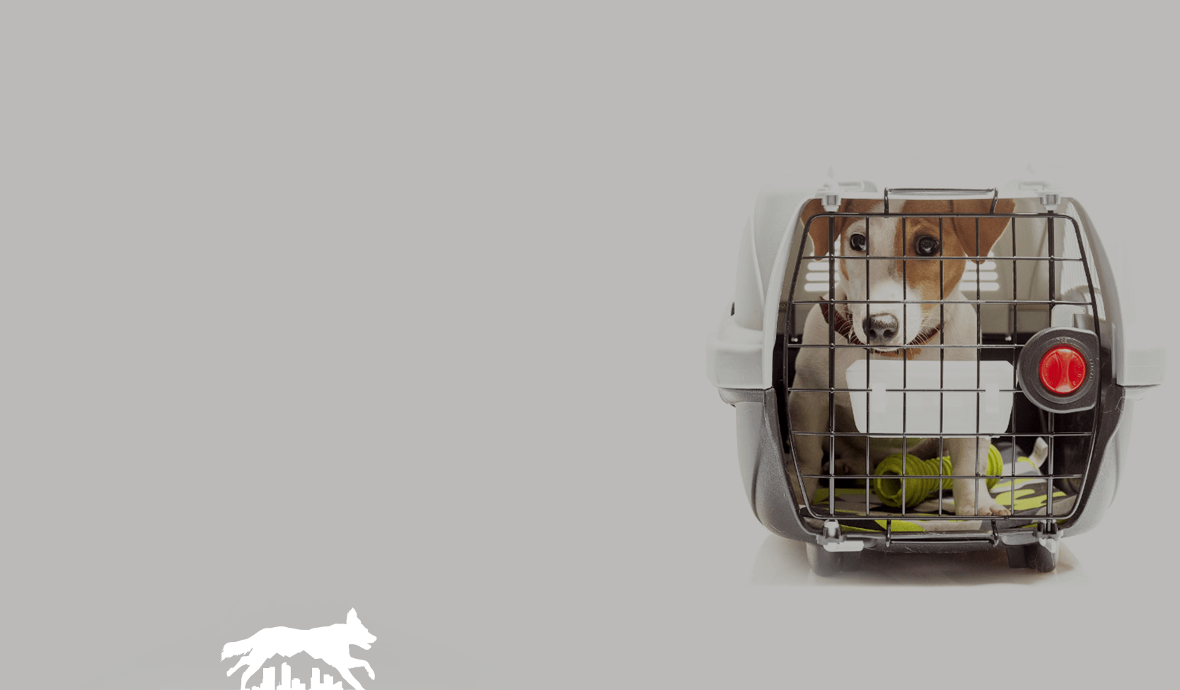 Small dog in a metal crate inside a carrier, with a red water dish on the right side.