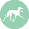 Fast Paced Dog Walks Icon