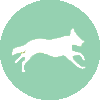 Dog running Icon