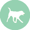 Leisurely Dog Walks Icon