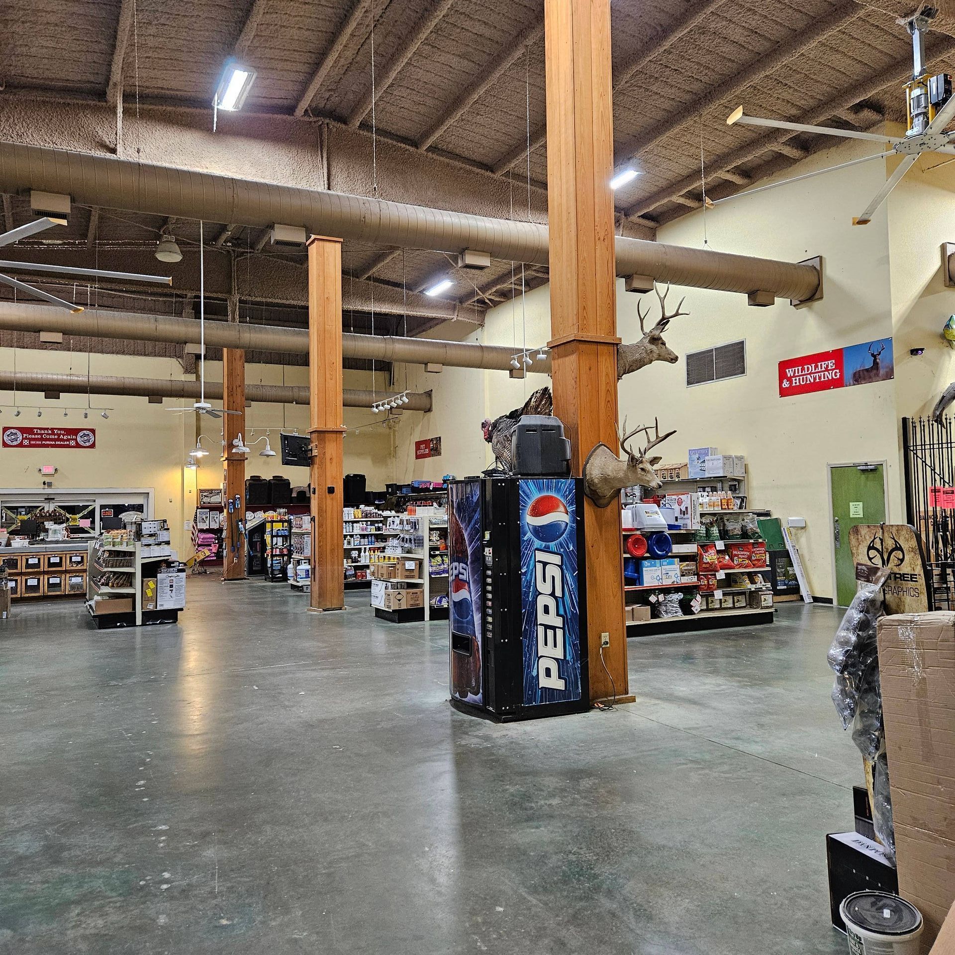 A spacious warehouse-style retail store with exposed beams, wood columns, a Pepsi machine, and taxidermy deer heads.