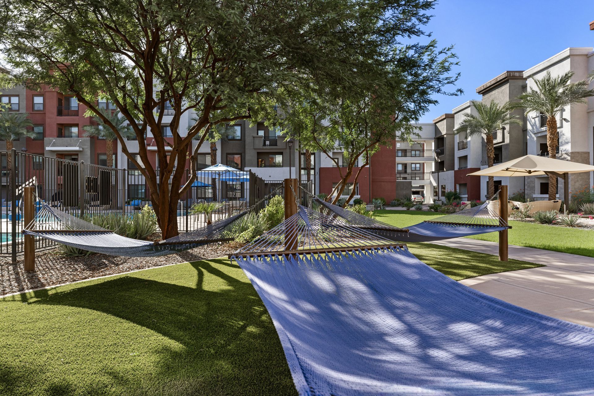 Courtyard with hammocks, trees, grass, and apartment buildings in the background