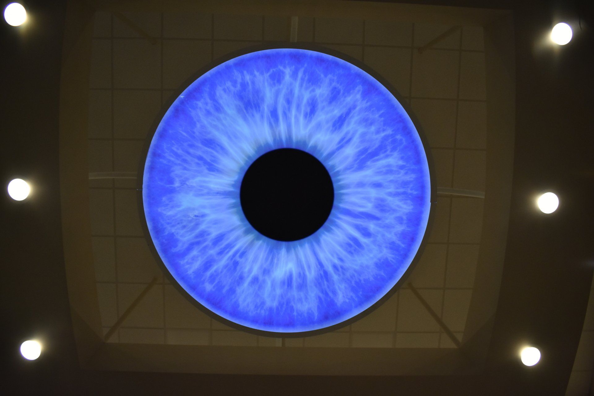 A close up of a blue eye with a black center