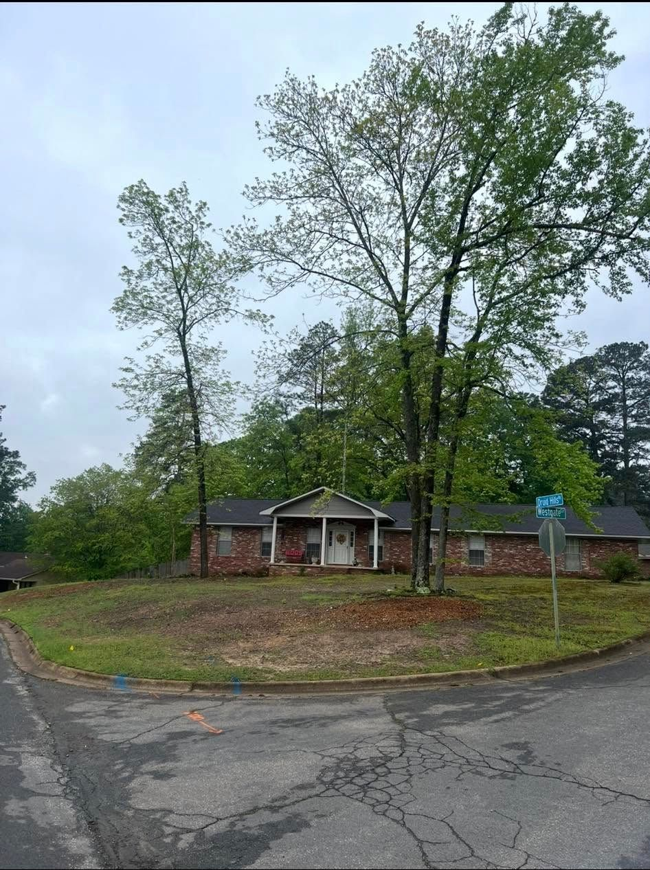 Abandoned brick house behind tall trees at a cracked roadside curve under a cloudy sky