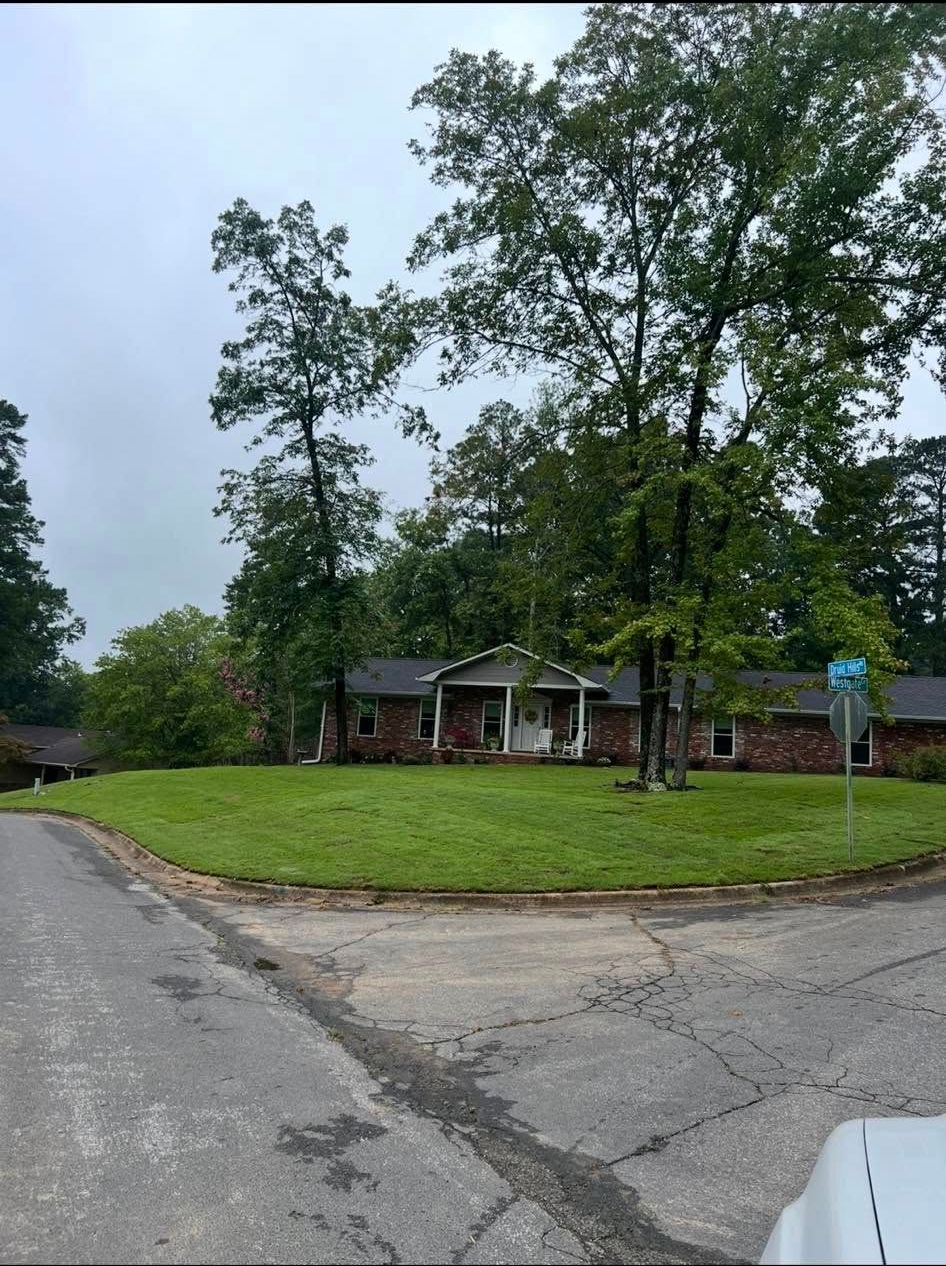 Quiet suburban street with a grassy median, tall trees, and houses under a cloudy sky