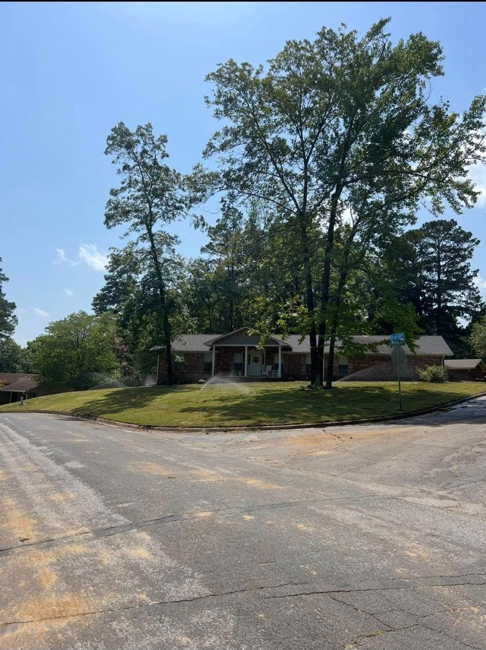 Quiet residential street with a house, large trees, and a blue sky on a sunny day