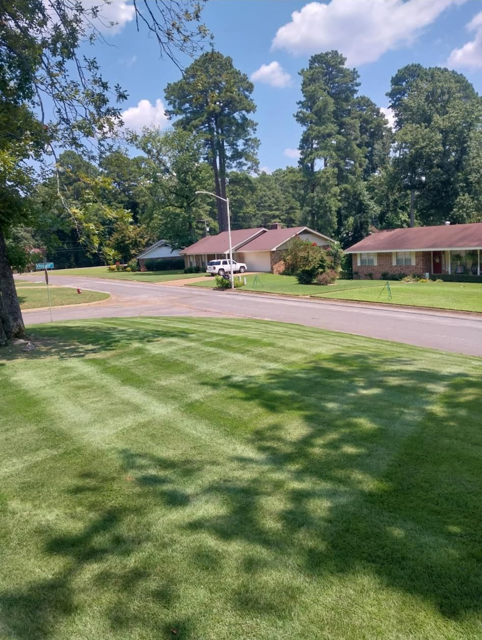 Suburban neighborhood street with manicured lawn, tall trees, and single-story brick houses on a sunny day