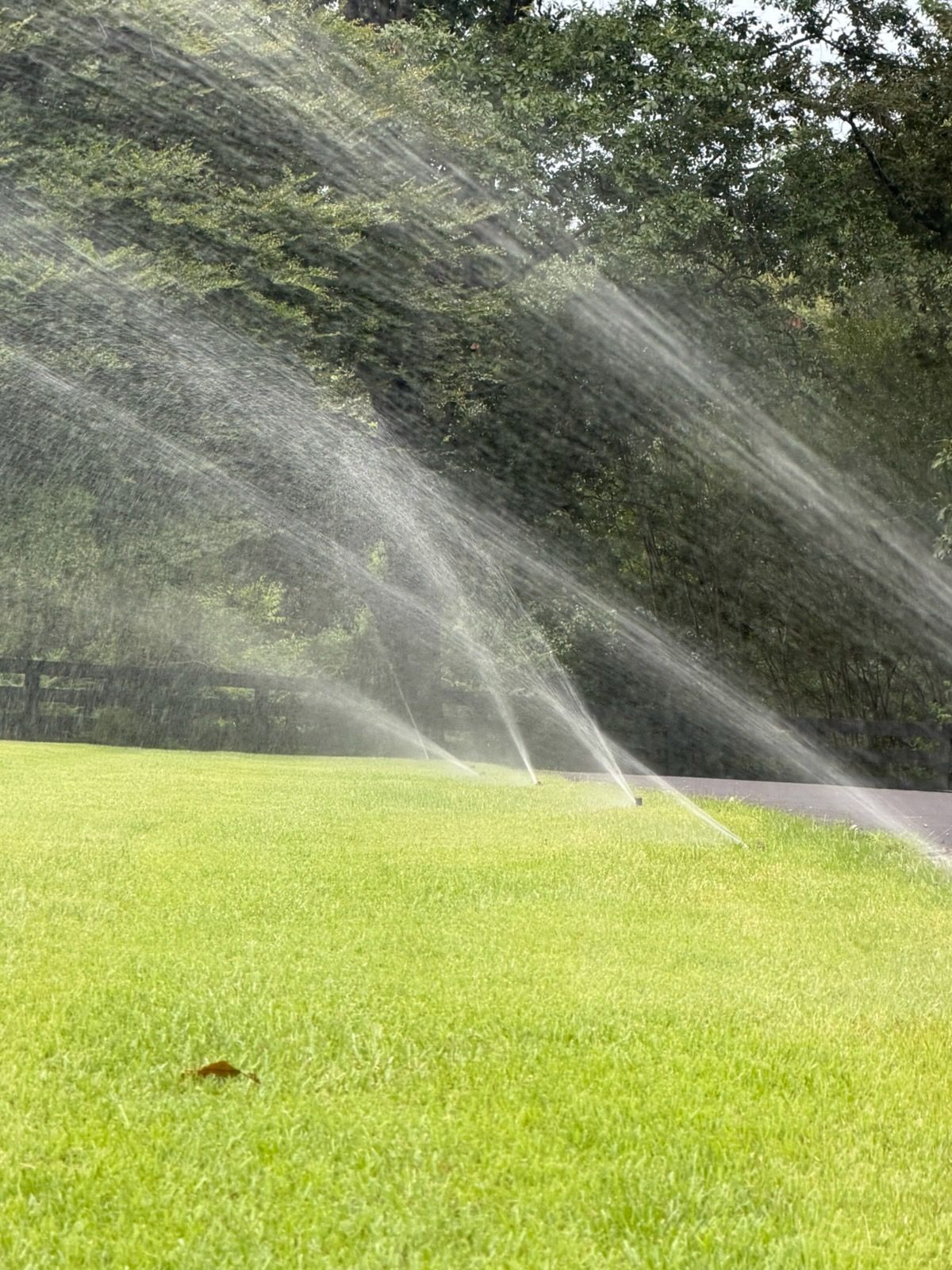 Sprinklers spraying water over a bright green lawn with trees in the background