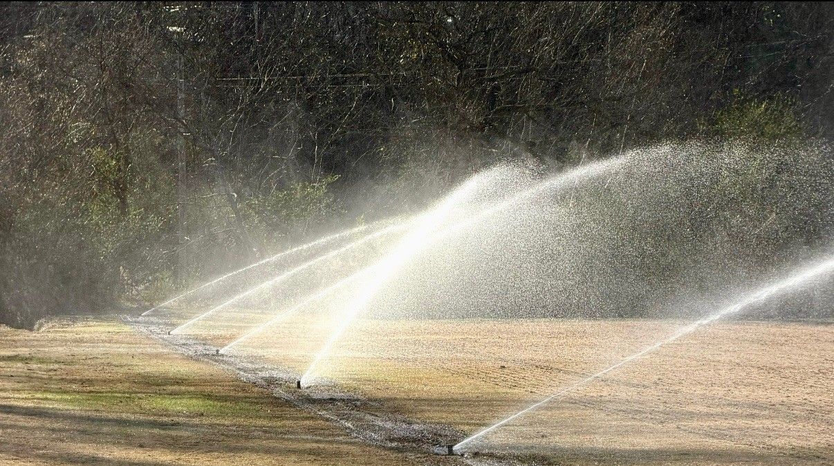 Multiple sprinklers spraying water across a grassy field in bright sunlight