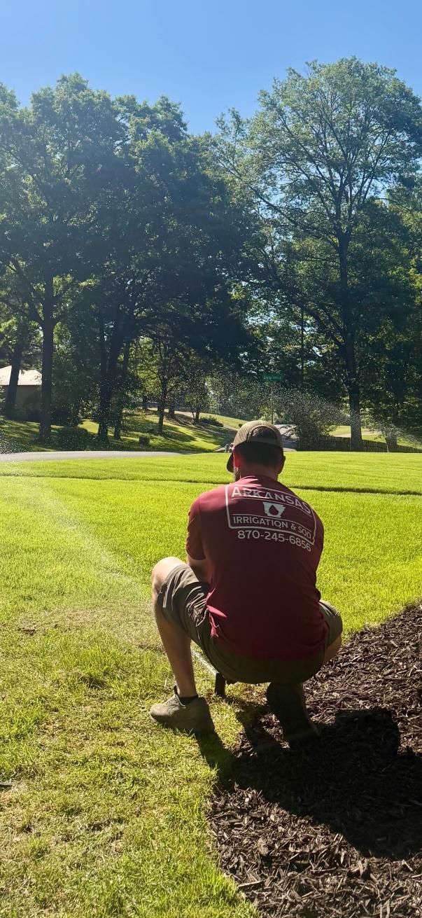 Person crouching on a grassy lawn near a tree, facing a sunlit park with tall trees.