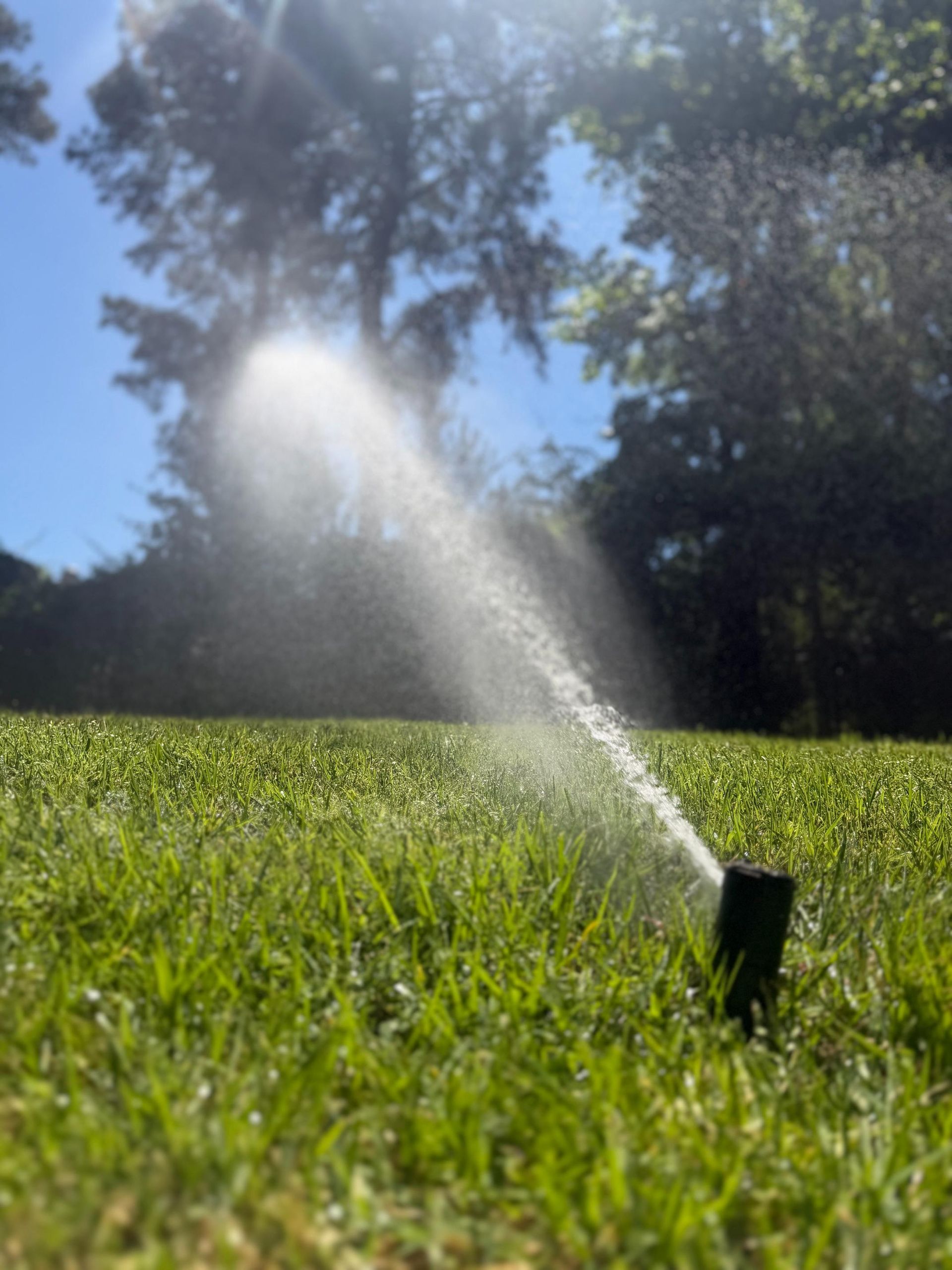 Garden sprinkler spraying water over green grass in a sunny yard