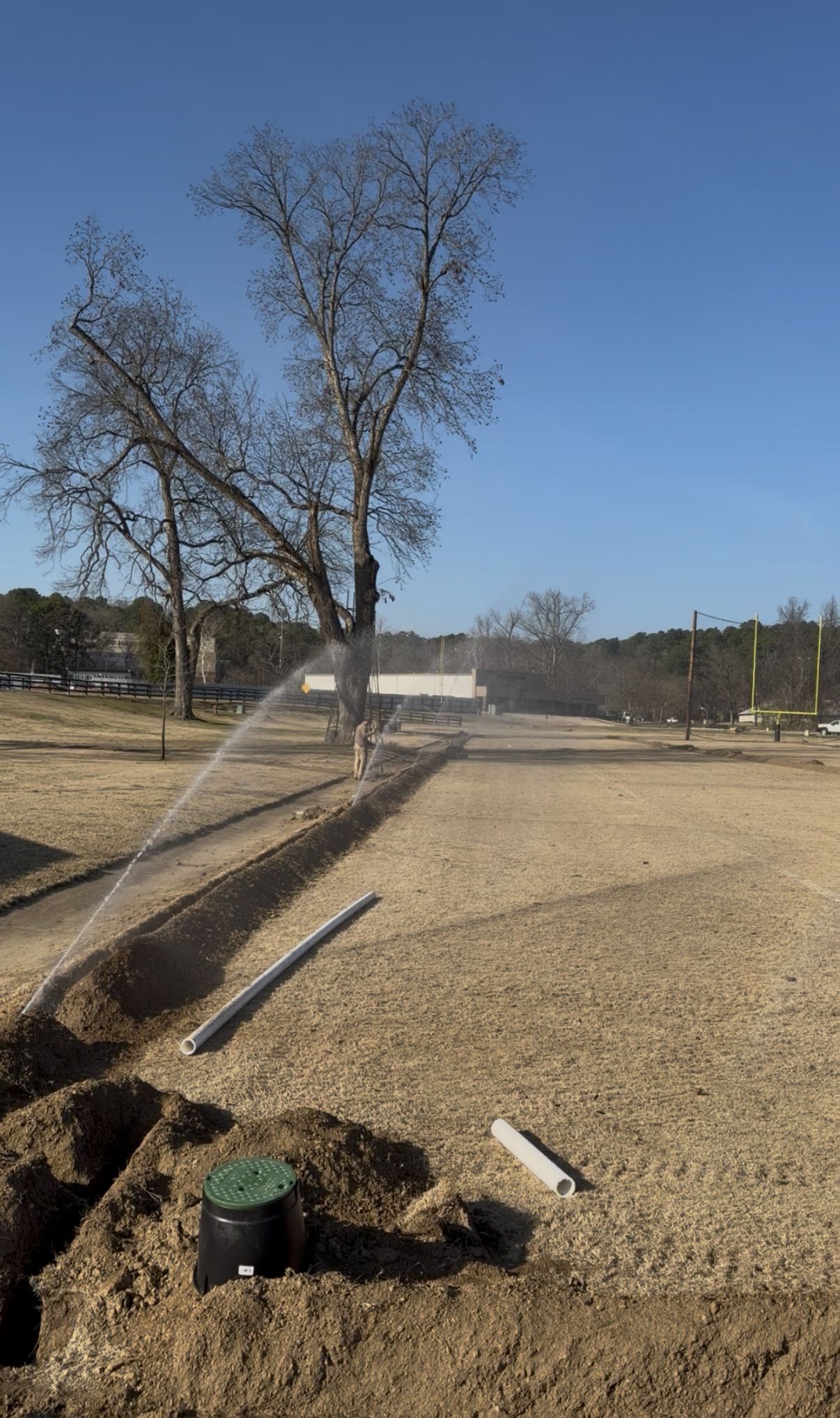 Landscape with newly planted trees and irrigation lines in a bare, gravelly field under a clear blue sky