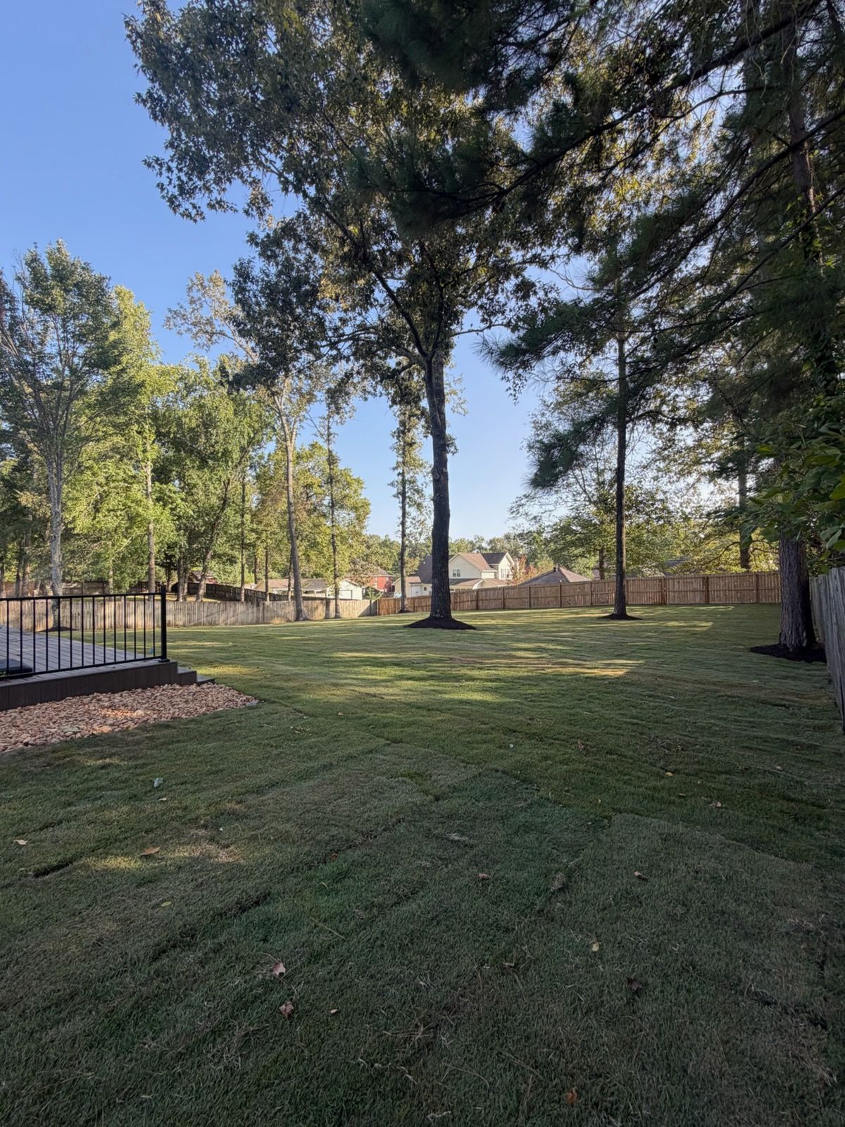 Grassy park with tall trees, fenced edges, and clear blue sky in daylight