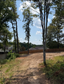 Dirt clearing with tall trees, a wooden fence, and houses in the background under a partly cloudy sky