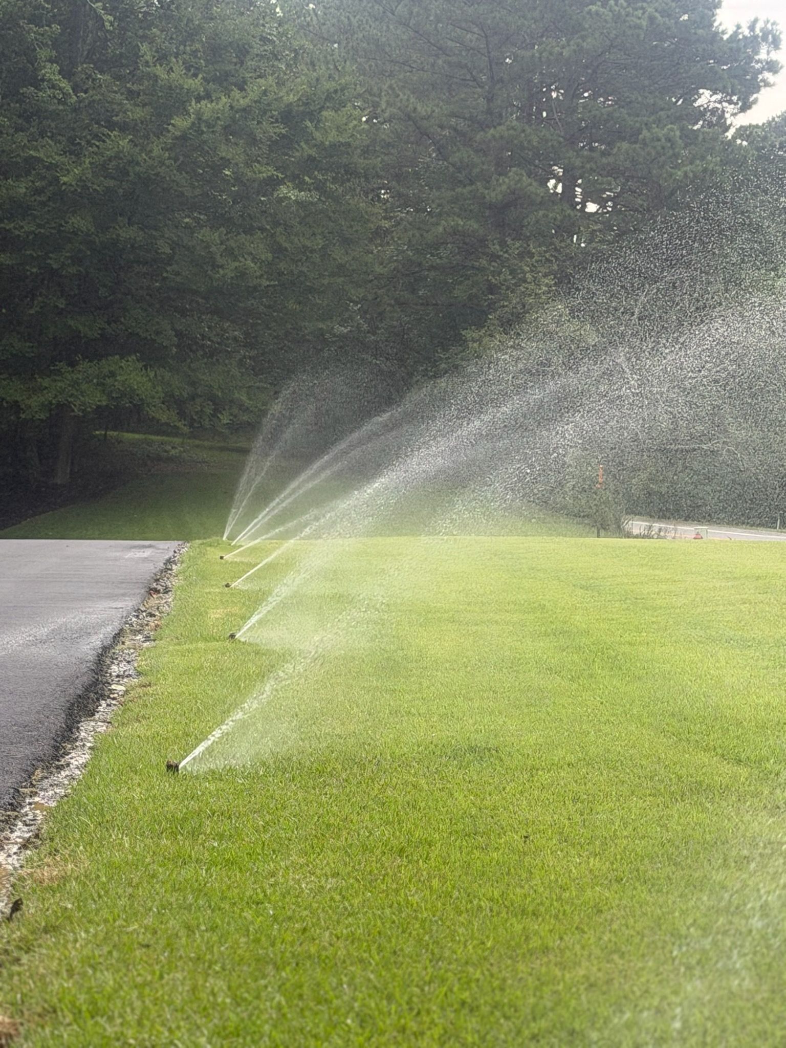 Sprinklers watering a green lawn beside a paved driveway on a sunny day