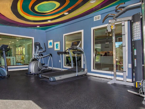 Gym interior with treadmills, ellipticals, and blue walls under a colorful spiral ceiling mural