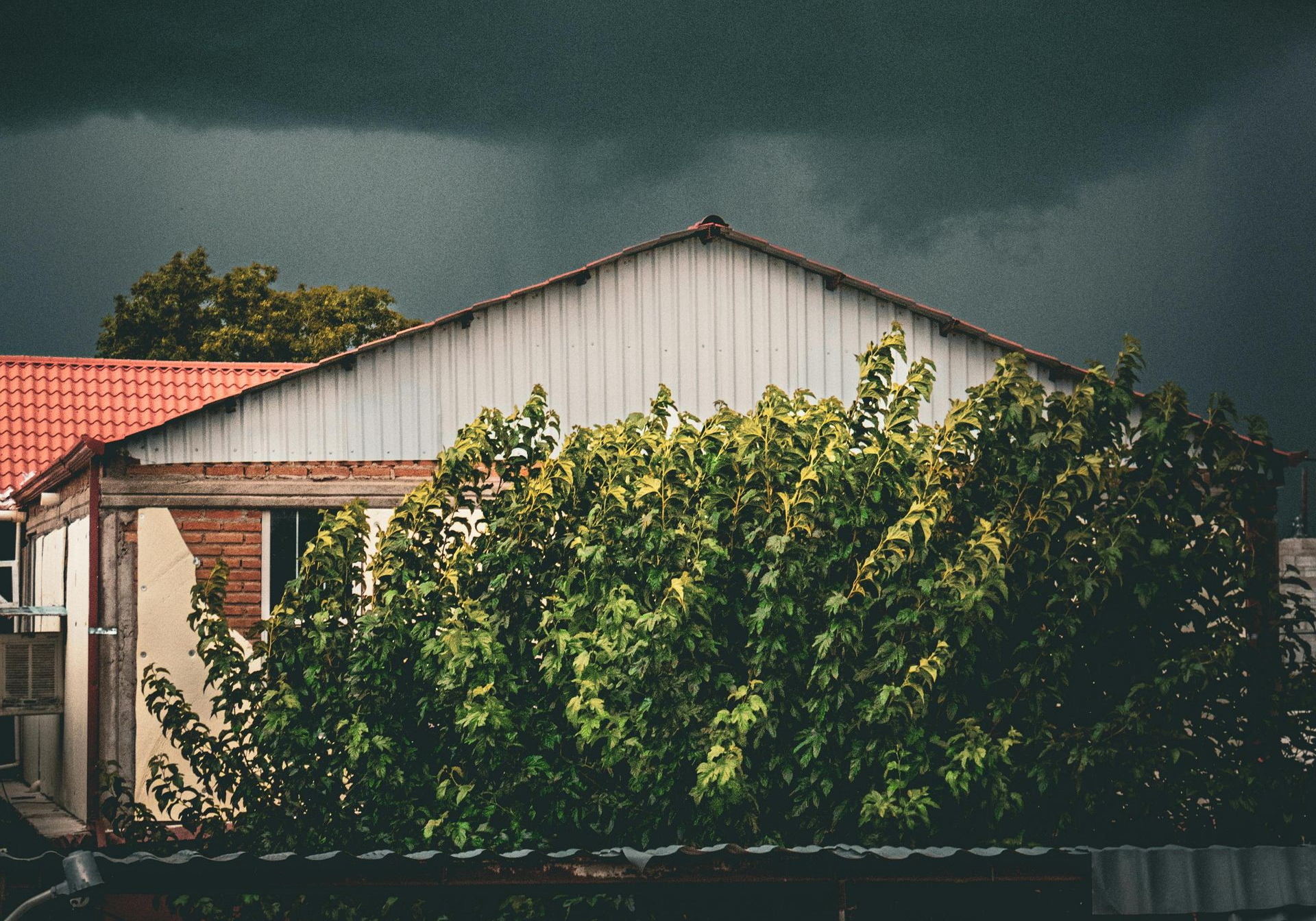Storm weather, house with tree. 