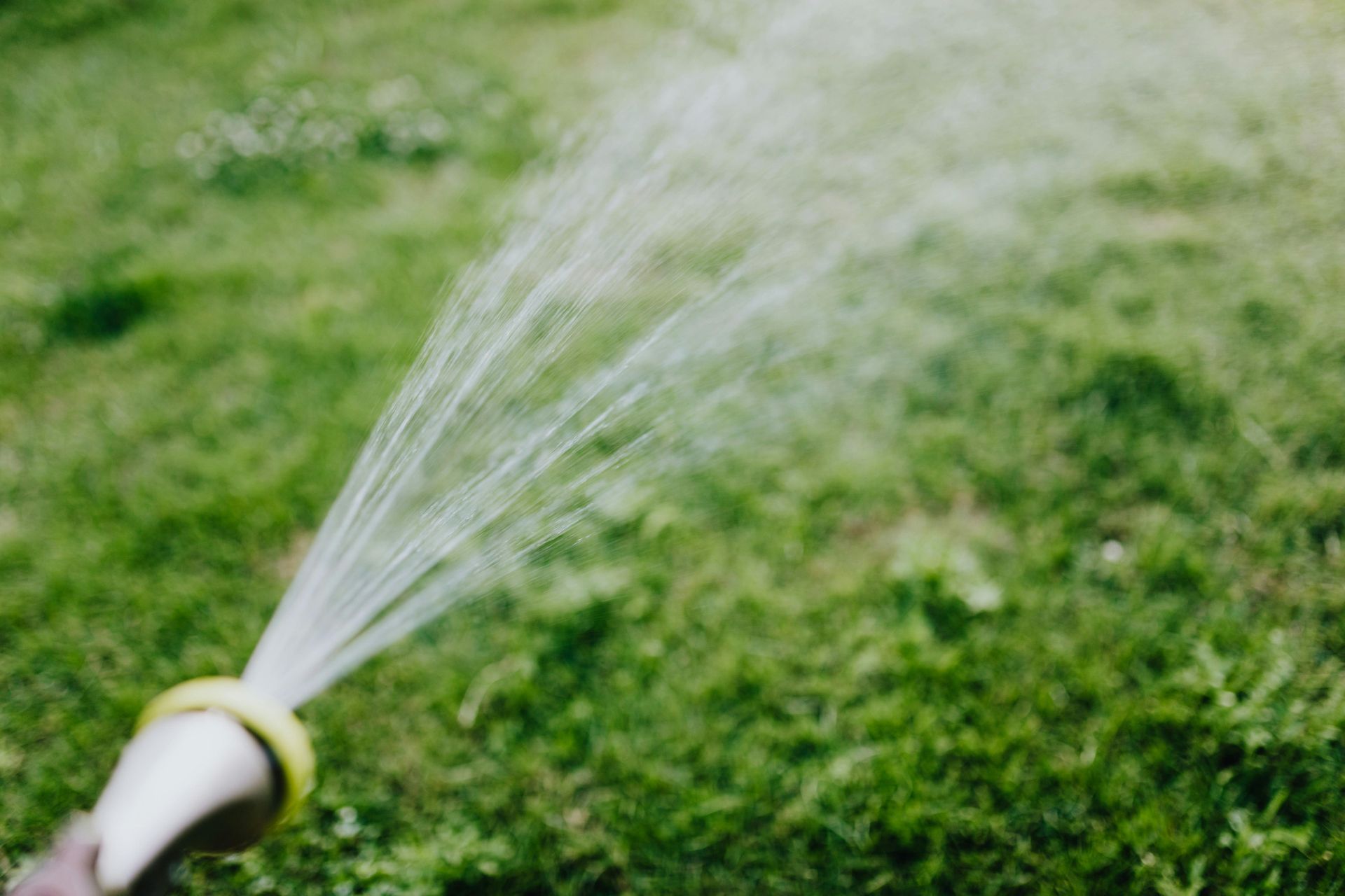 Sprinkler watering grass.  