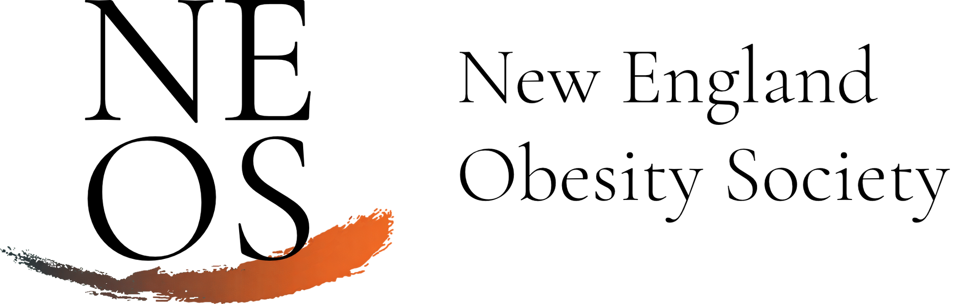Logo for the New England Obesity Society;
