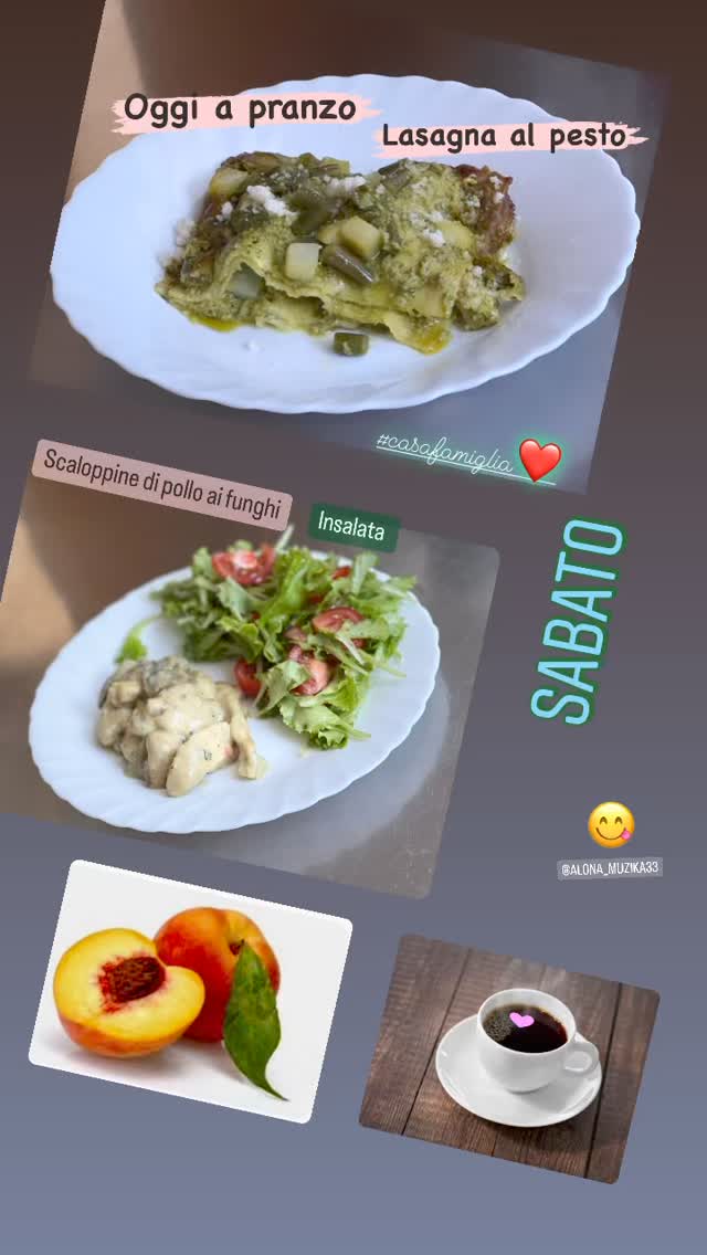 menu giornaliero villa elena 6