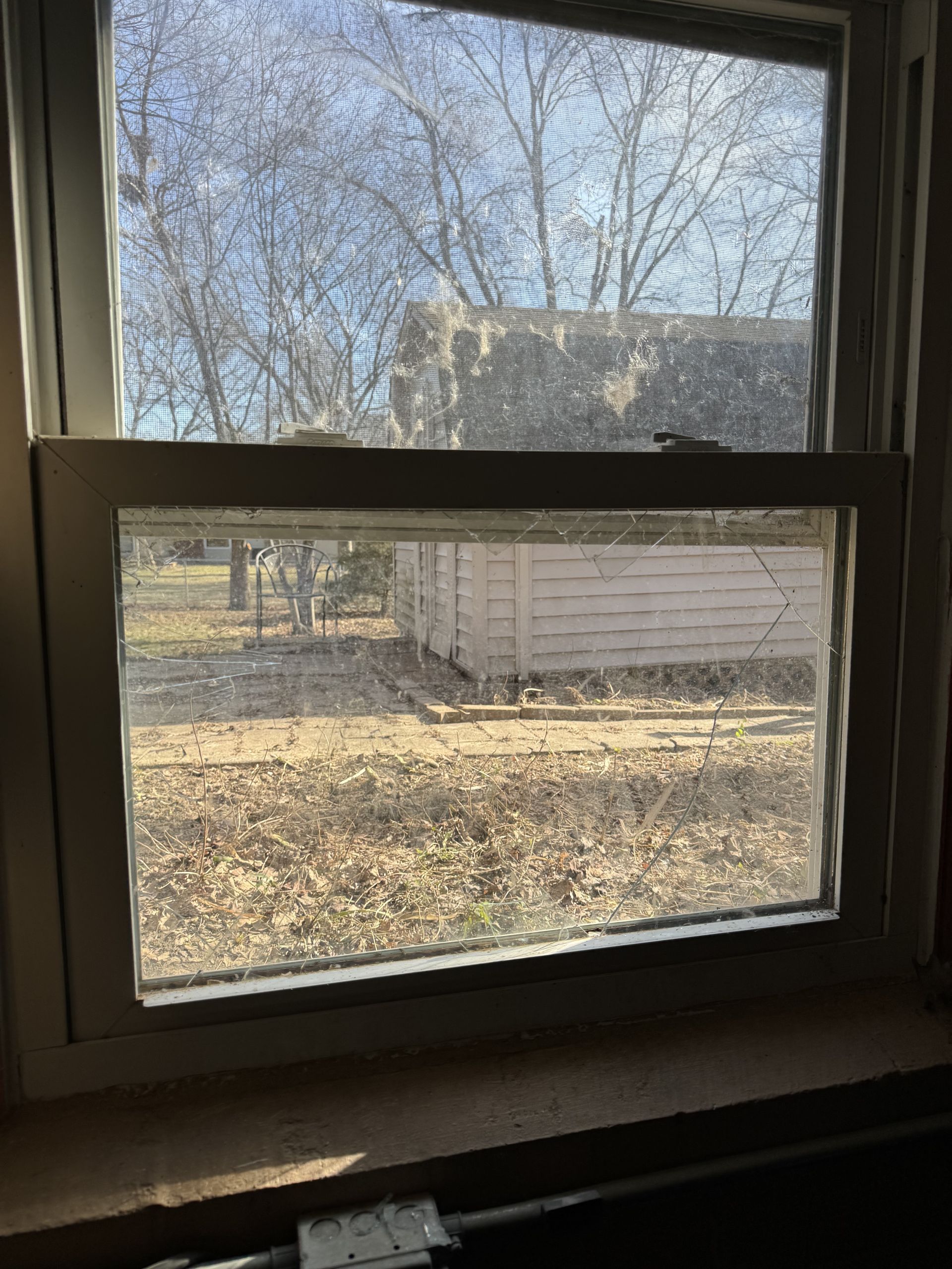 A window with a view of a shed and trees outside.