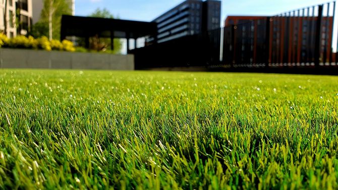 A close-up of vibrant green grass in the foreground with modern residential buildings in the background.