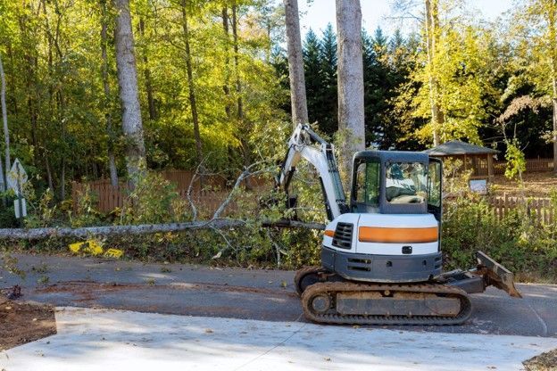 Commercial land clearing