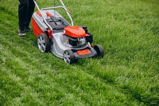 Landscaping service