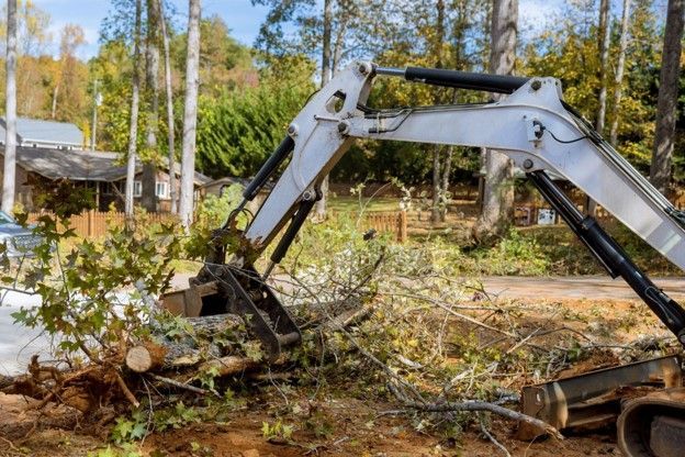 land clearing