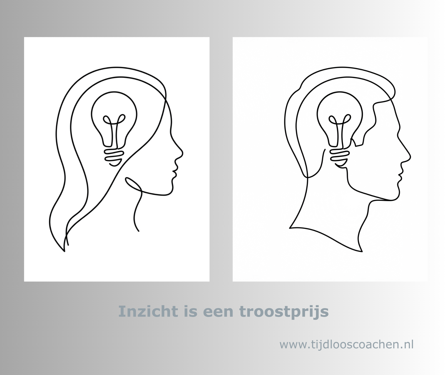 Tijdloos Coachen Cognitief sterke professionals - Inzicht is een troostprijs.