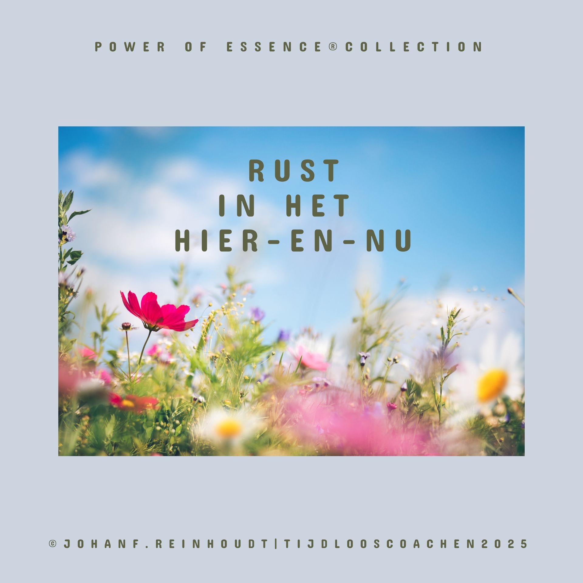CD-hoes voorkant met wilde kleurige bloemenpracht met strakblauwe lucht-rustige afbeelding