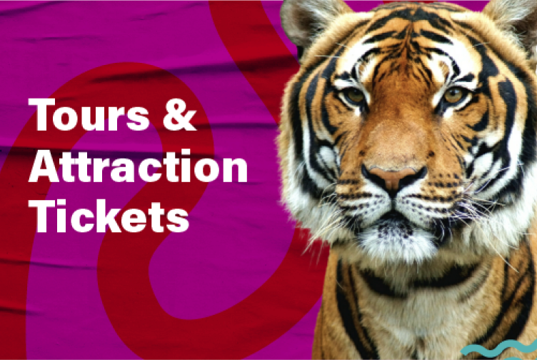 A link for discounted tickets for tours and attractions.