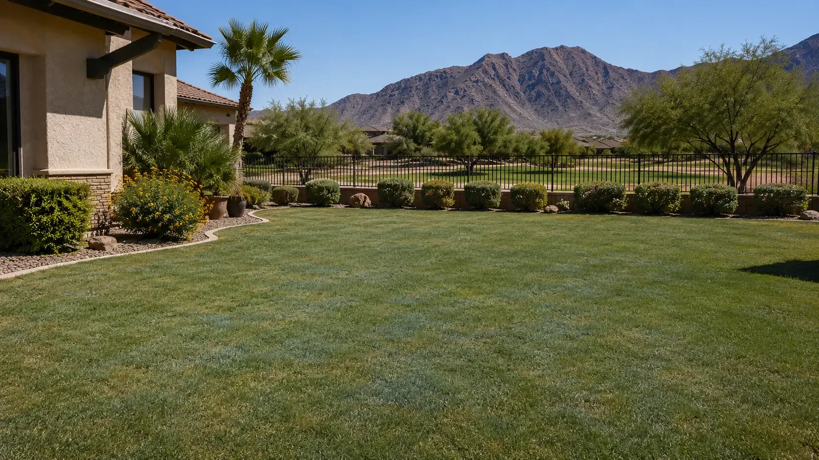 Backyard lawn with desert mountains, palm trees, and a house in the foreground