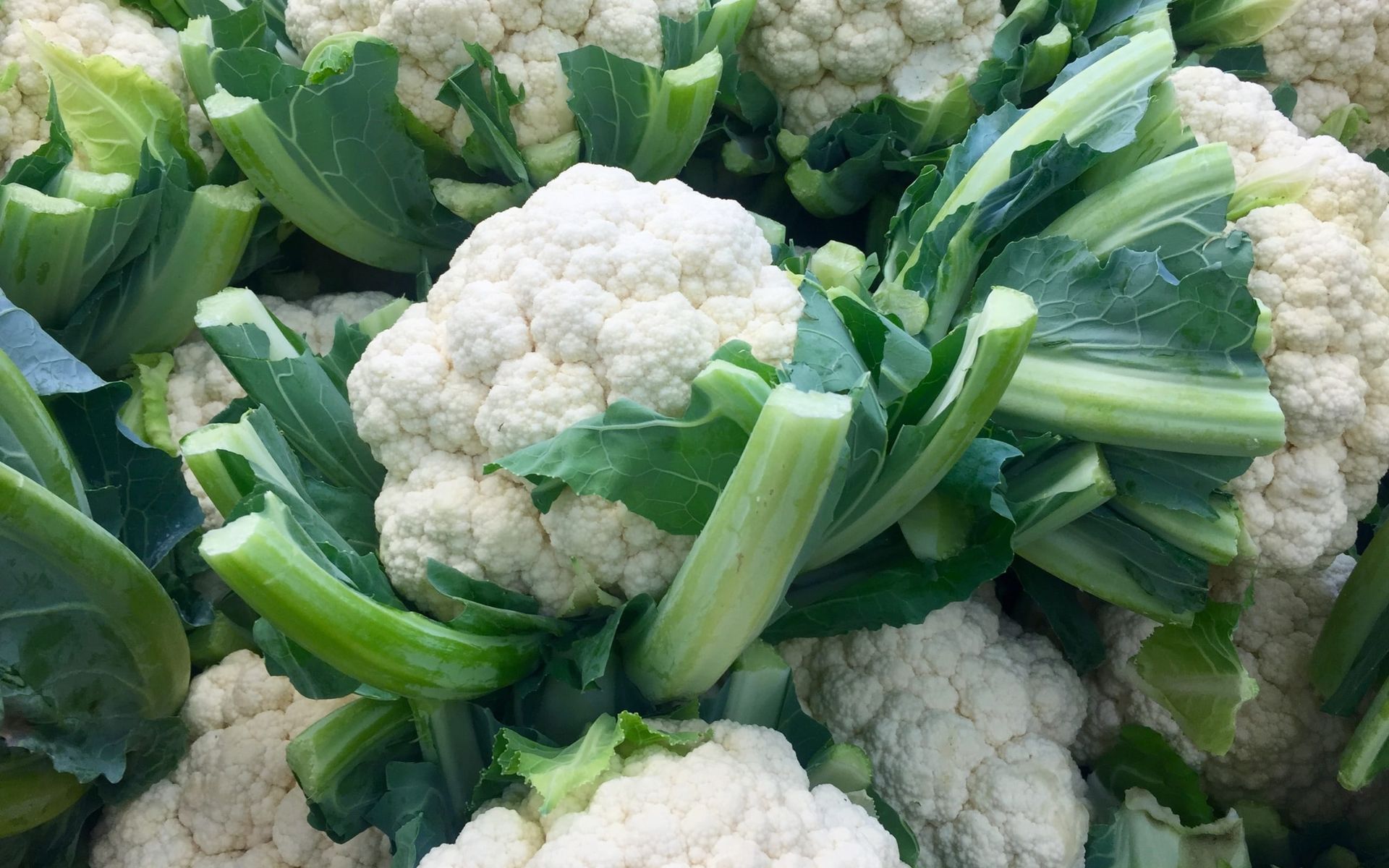 A bunch of cauliflower with green leaves on them