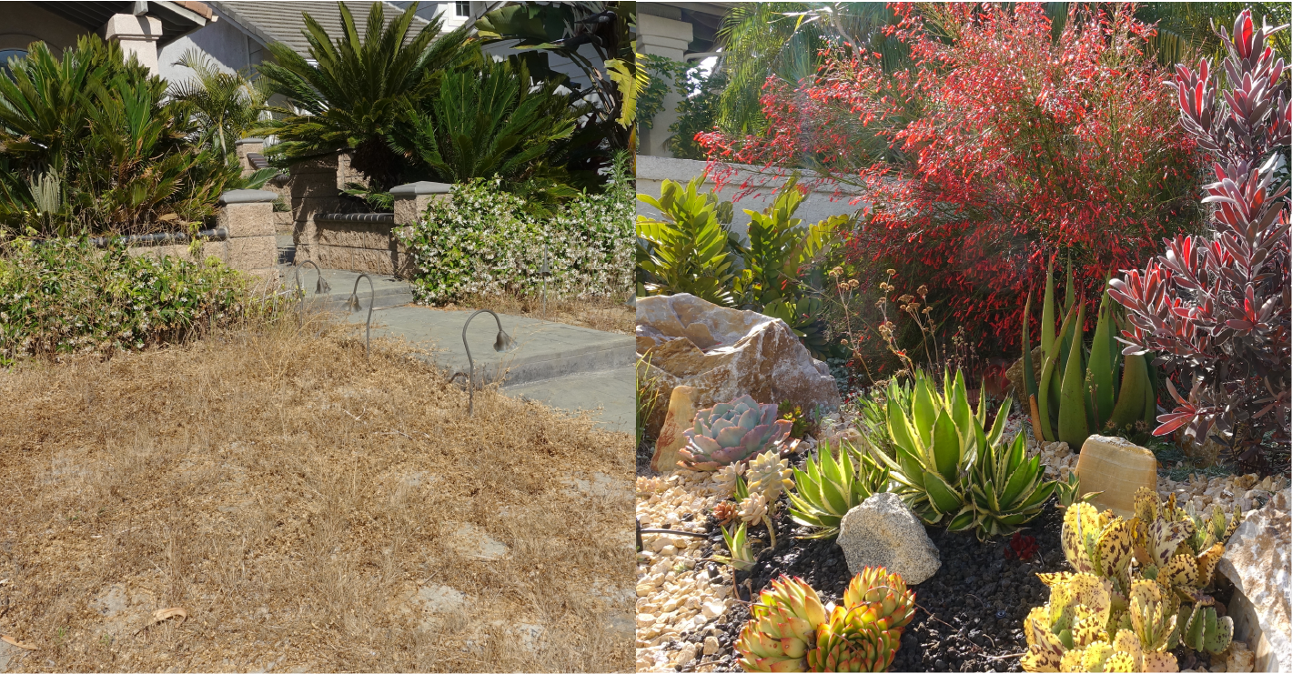 A before and after picture of a garden with plants and rocks
