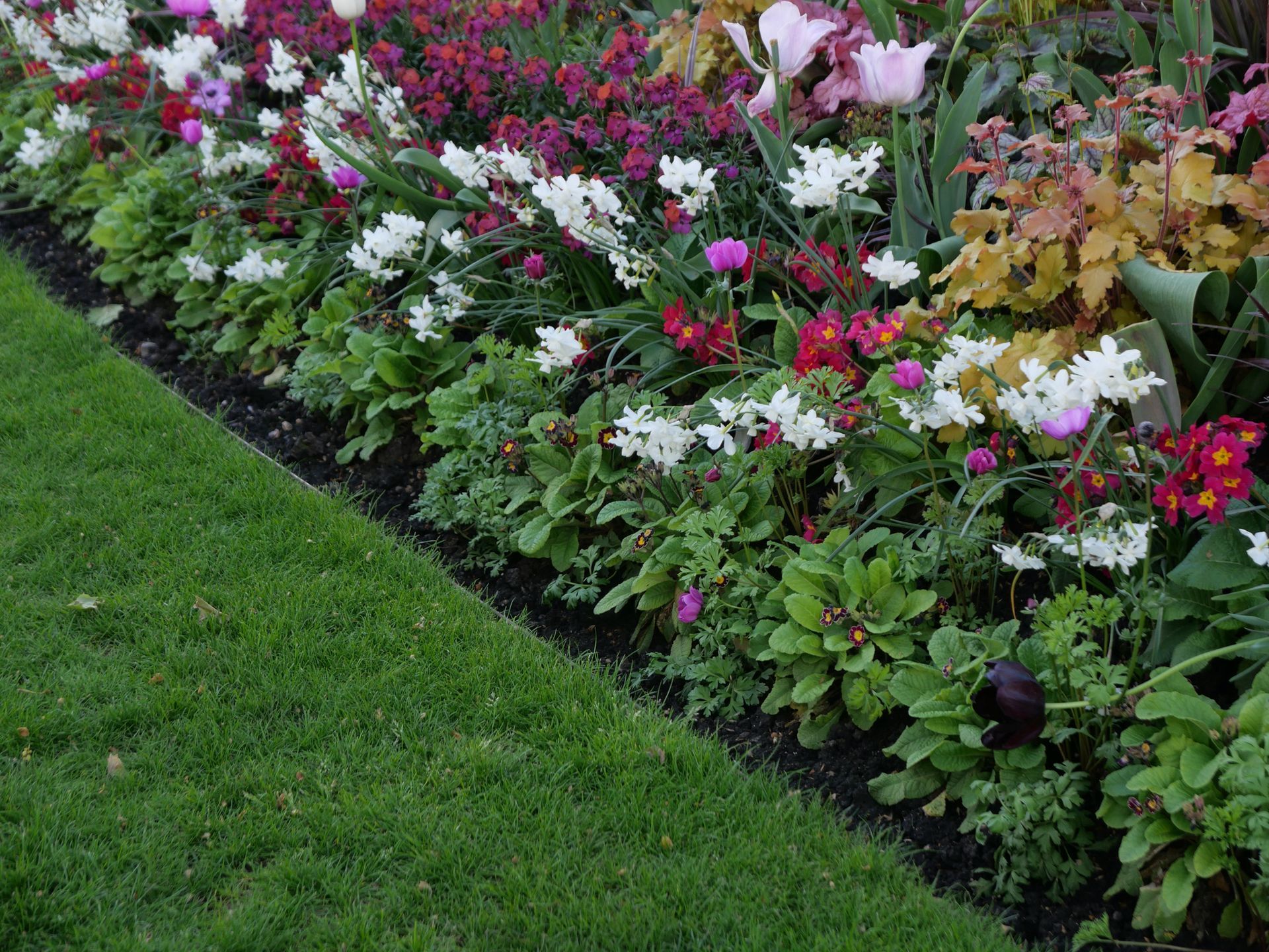Colorful flower bed with fresh mulch at a commercial property in
Goodyear, AZ