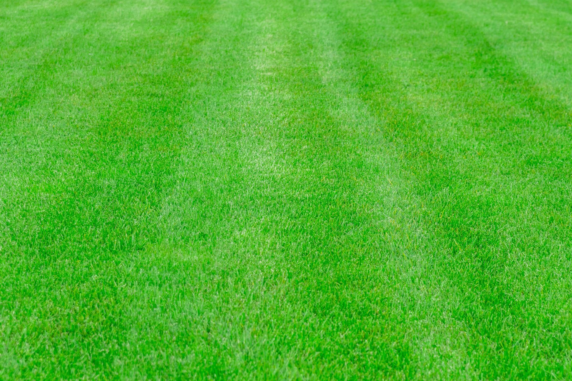 Professional mowing service maintaining a lush commercial lawn in
Goodyear, Arizona.