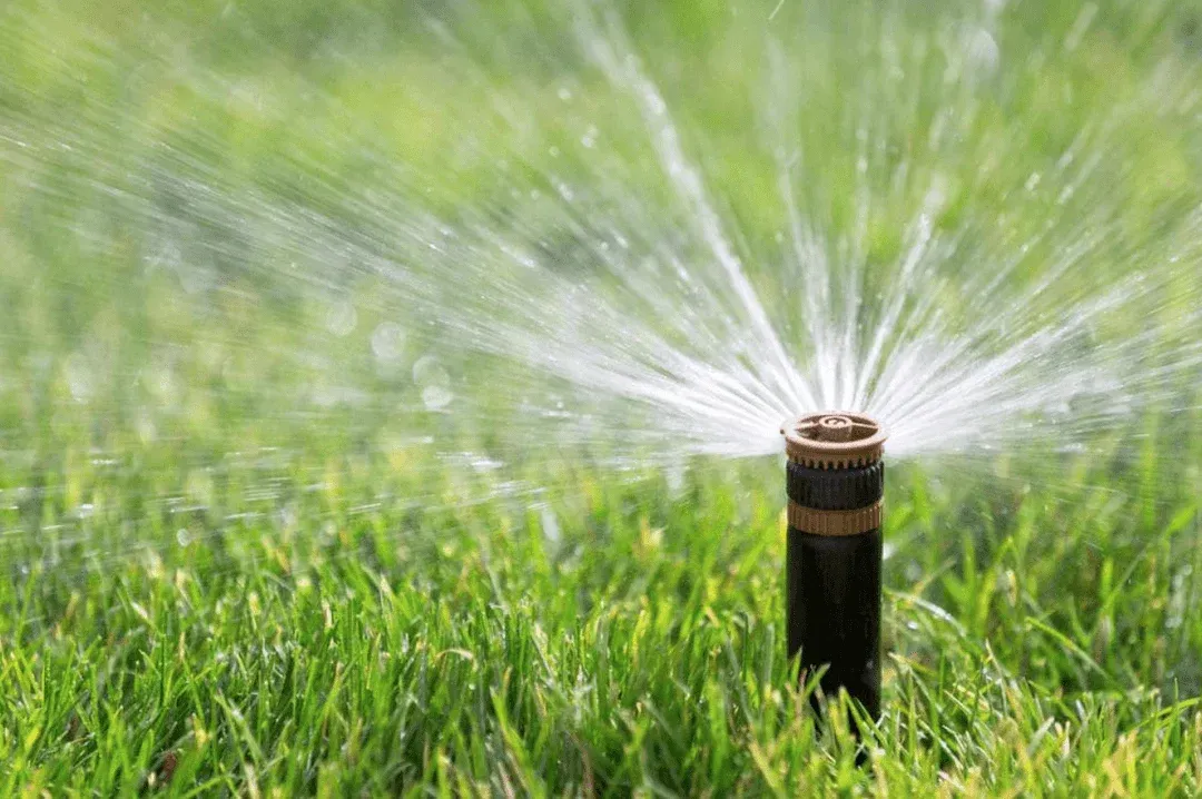 Lawn sprinkler spraying water.