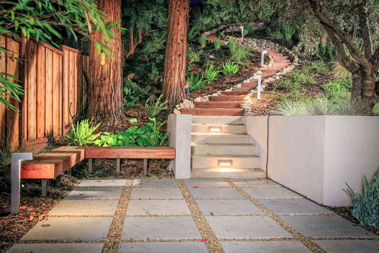 Stairsteps between big trees.