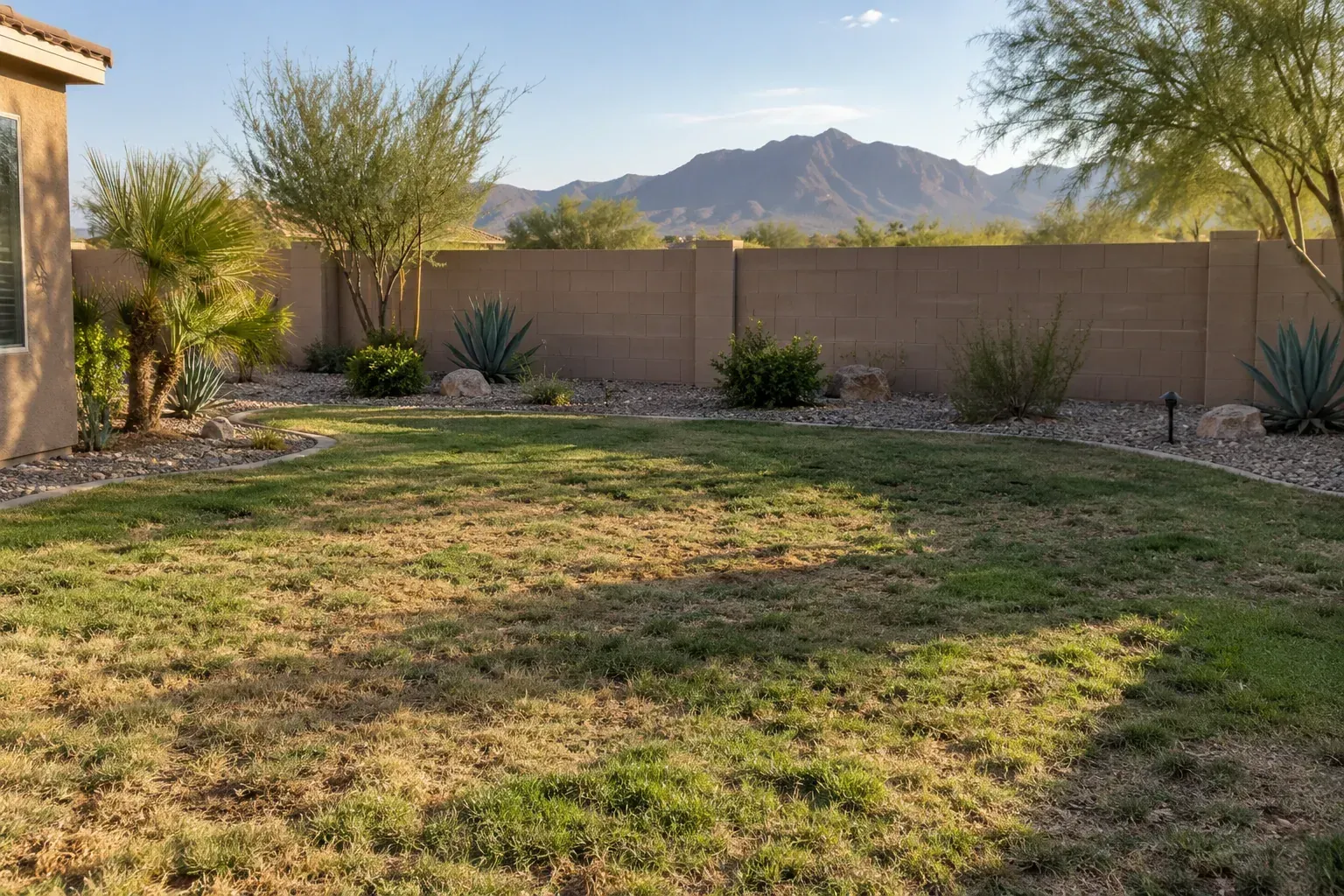 Thin, patchy Bermuda lawn after summer in a Buckeye, Arizona backyard