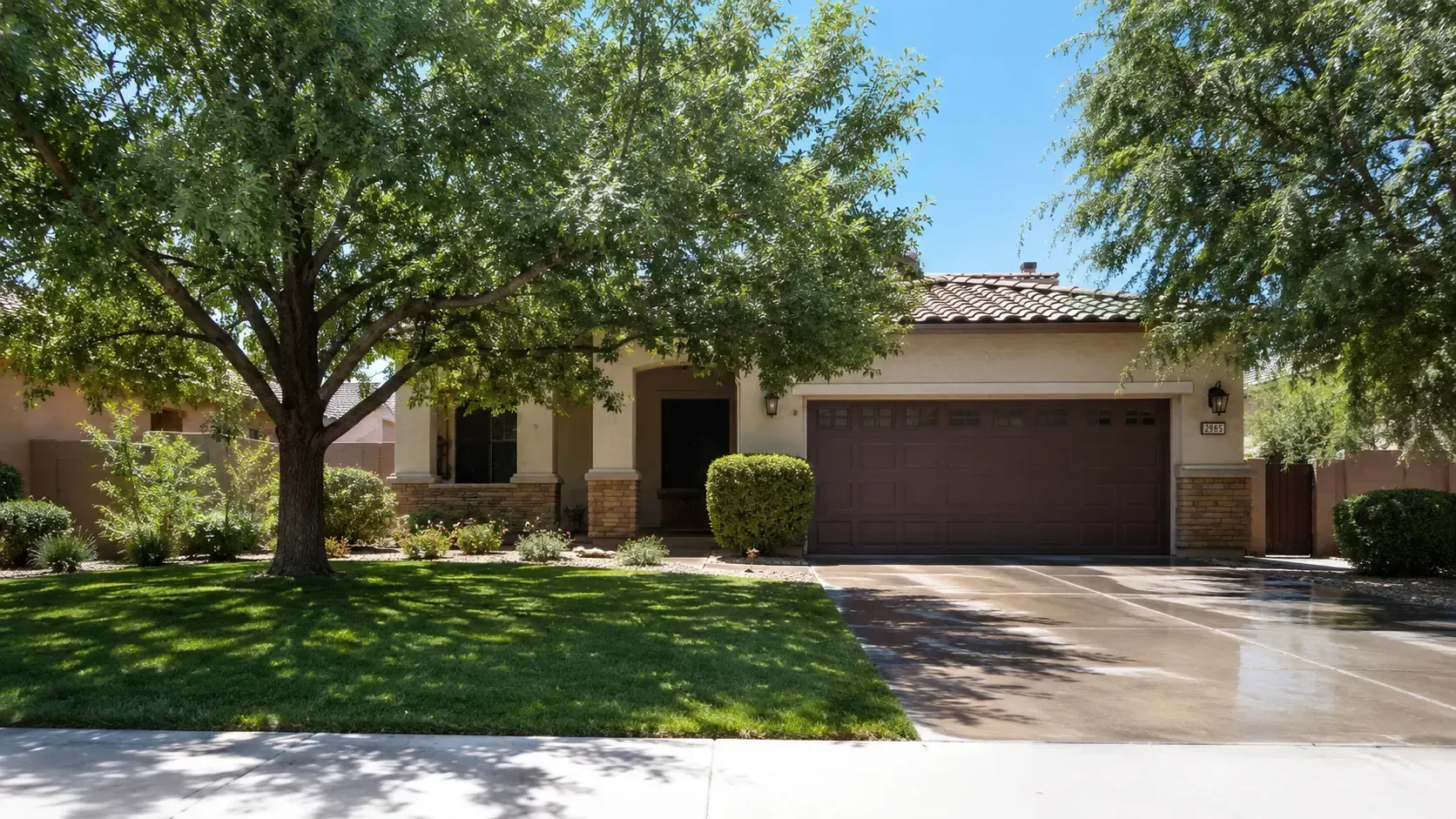 Homeowner inspecting heat-stressed tree branches in an Arizona backyard