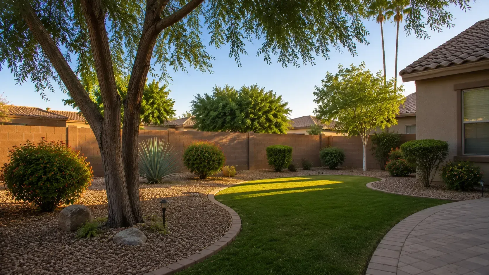 Healthy storm-ready Arizona landscape