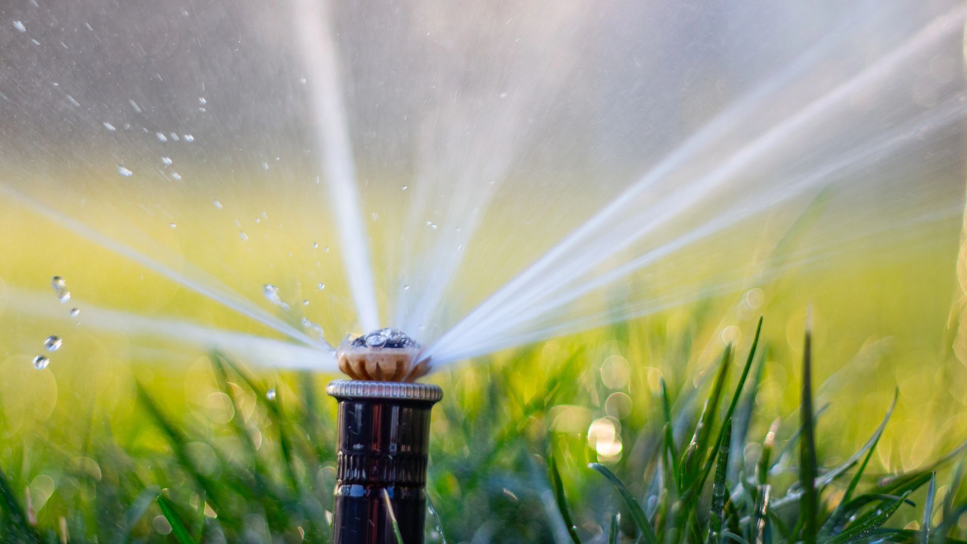 Efficient sprinkler system watering a commercial property in
Goodyear, AZ