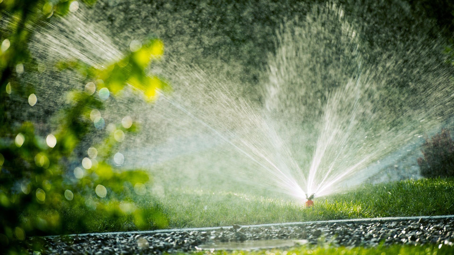 A sprinkler is spraying water on a lush green field.