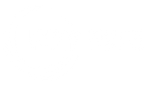 Blank white screen with no visible content